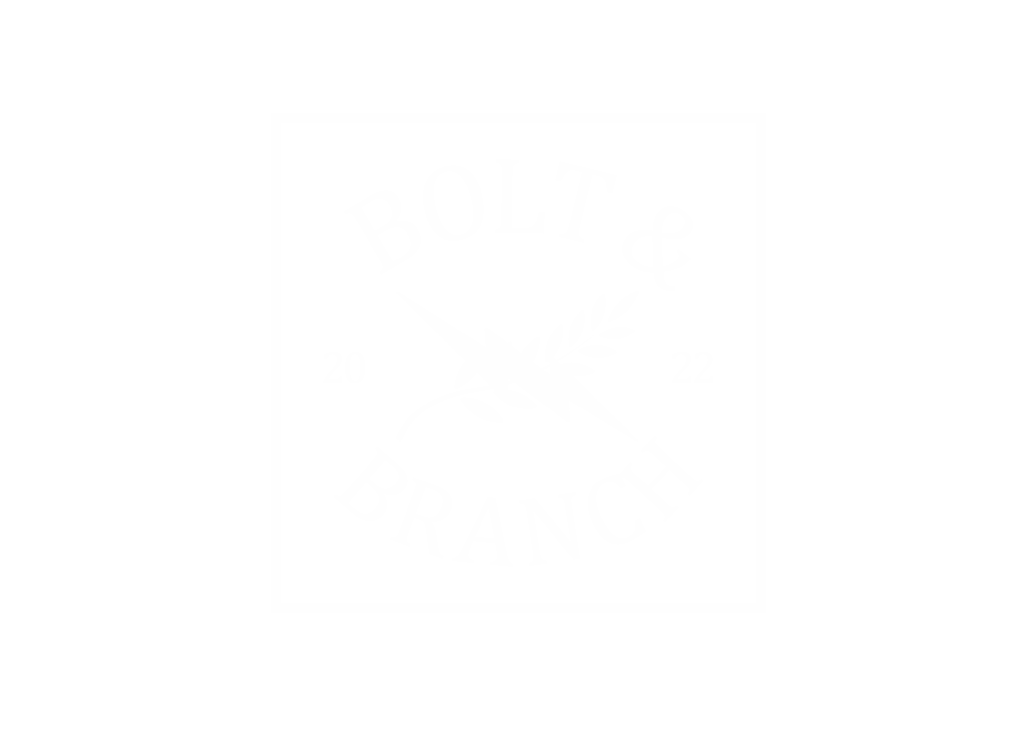 Bolt & Branch